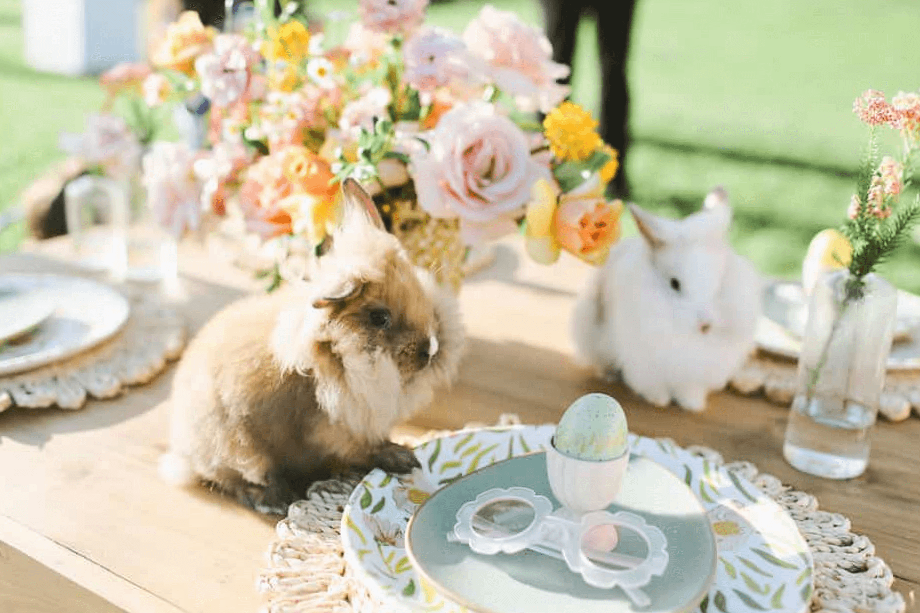 Two bunnies atop a pastel table setting with flowers, eggs, and sunglasses.