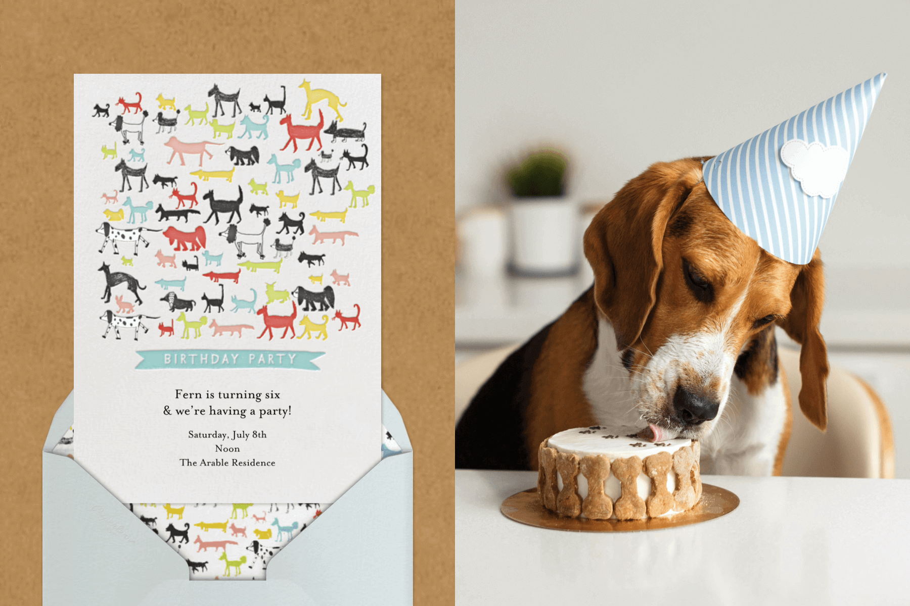 A white birthday invitation with several small colorful illustrations of various dogs; A dog wearing a blue and white striped birthday hat is licking a birthday cake decorated with bones.