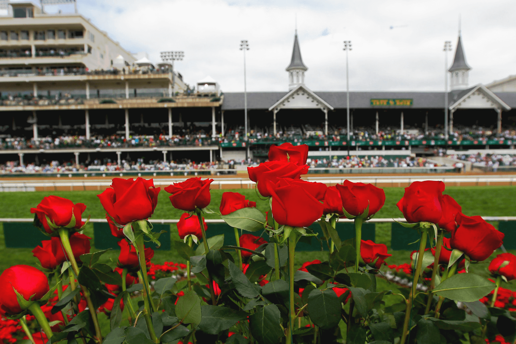 A view of Churchill Downs racetrack with many red long stem roses in the foreground.