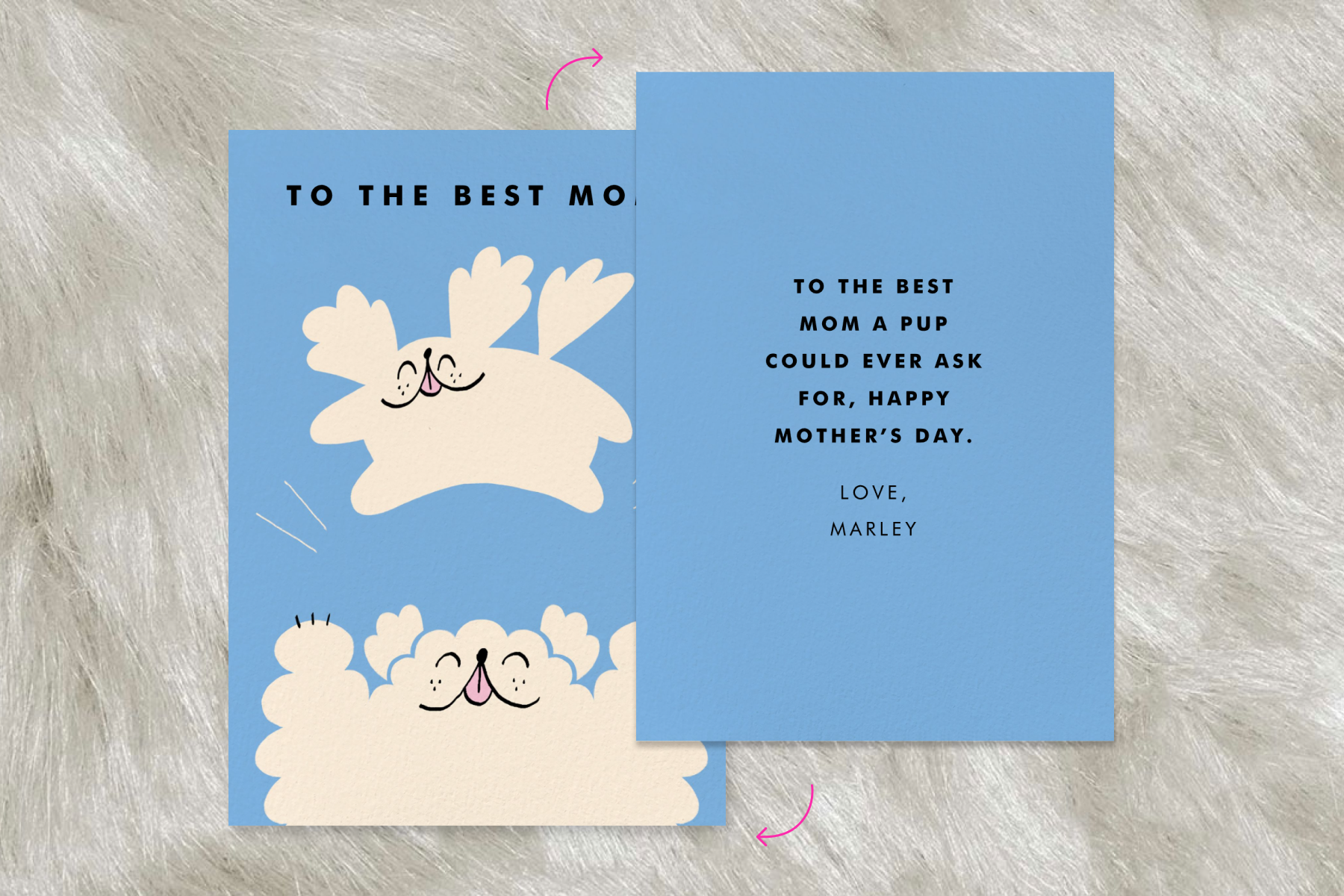 A blue card on a furry white background featuring an illustration of two jumping dogs and the words, ‘To the best mom’ next to the back of the card that reads, ‘To the best mom a pup could ever ask for, Happy Mother’s Day. Love Marley.’