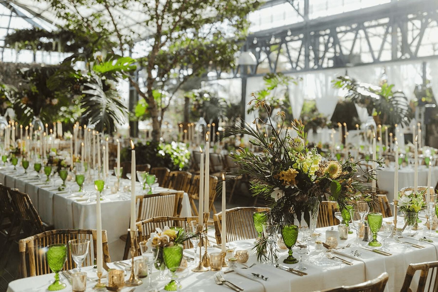 A lush event setting with green and gold tableware and tall candles inside a greenhouse.