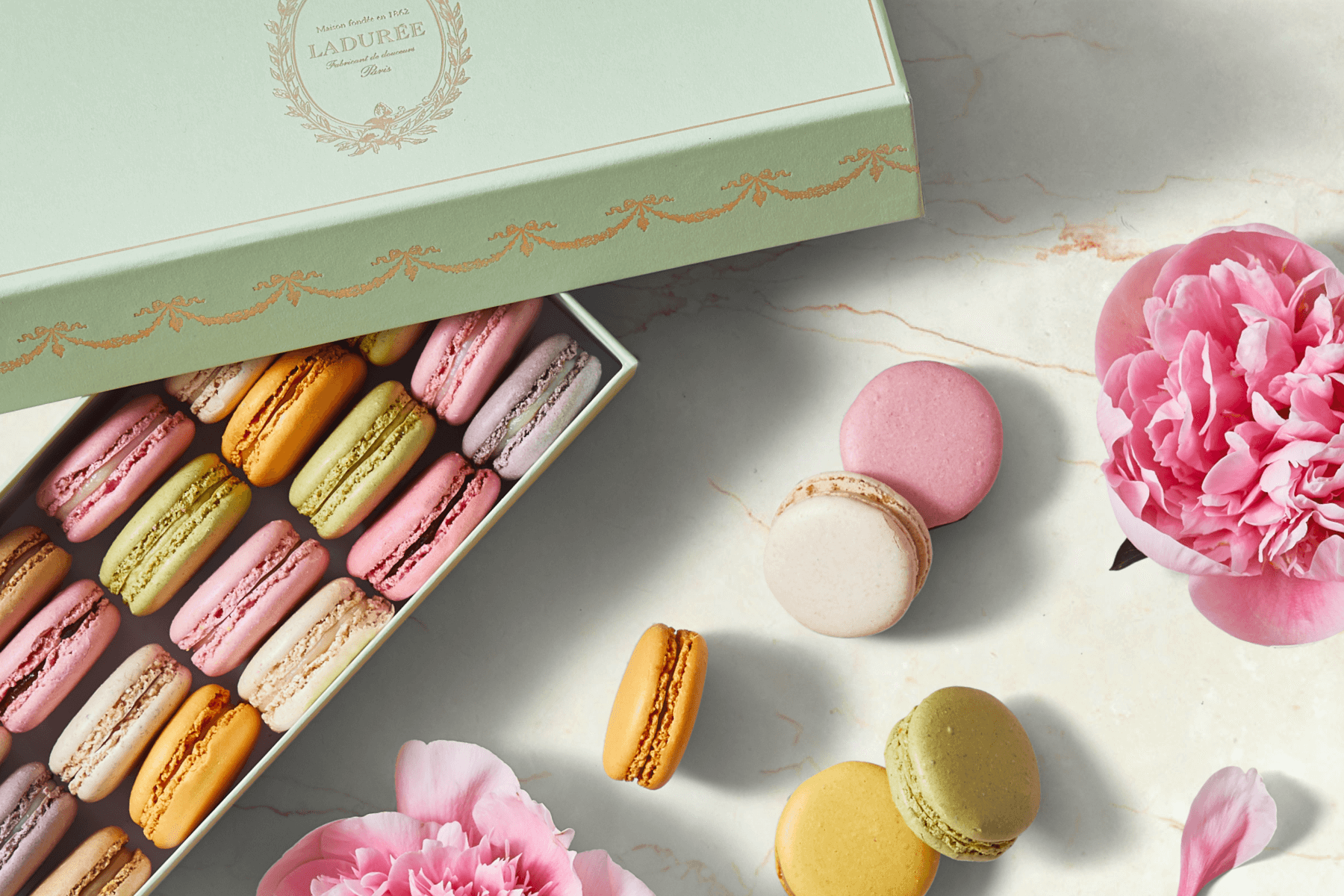 A box of Ladurée macarons with a few macarons and flowers on a table.