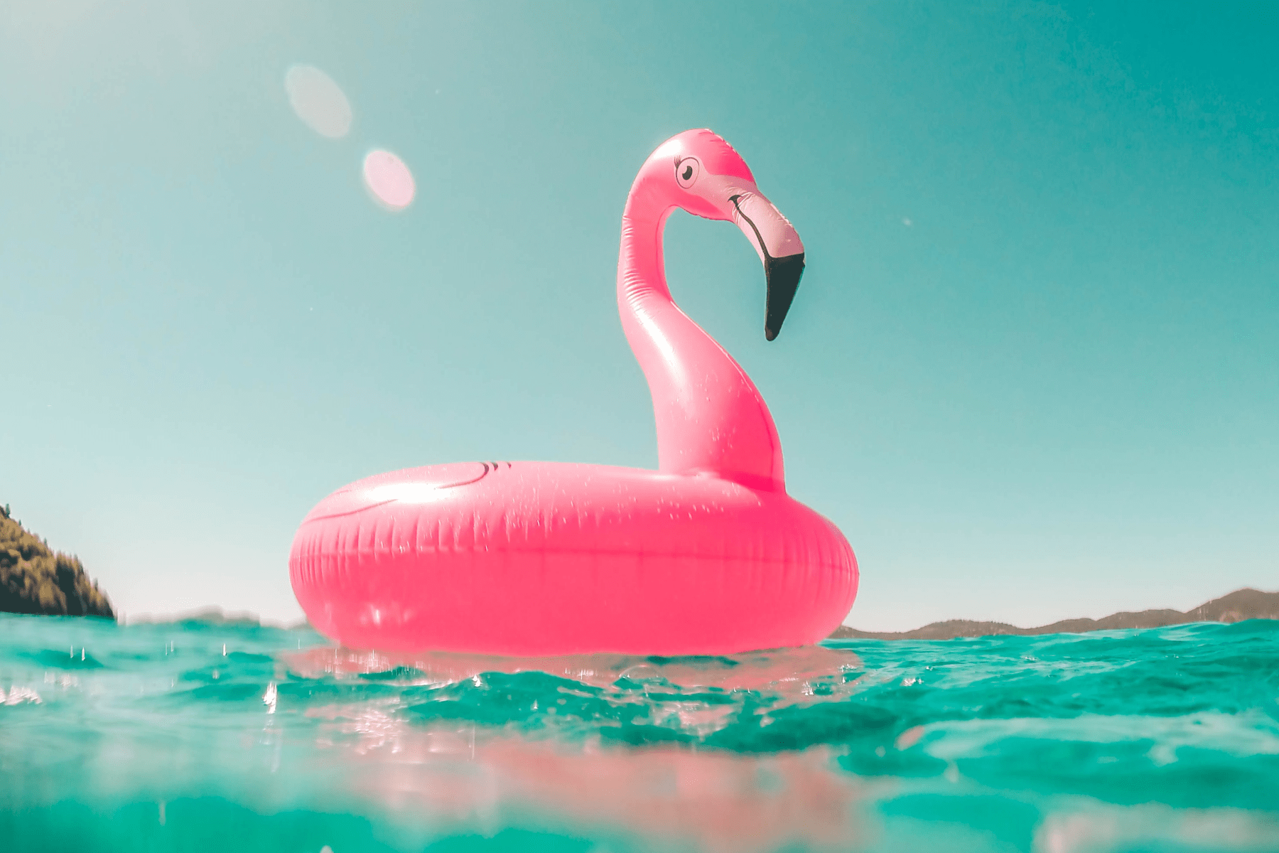 pink flamingo pool float on the ocean