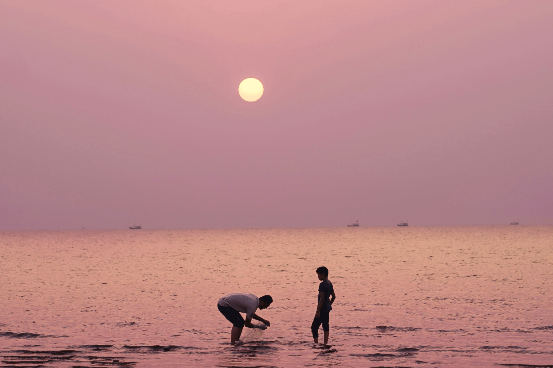 A father and his child bond in ankle-deep ocean water with a pink sky and a setting sun as their backdrop.