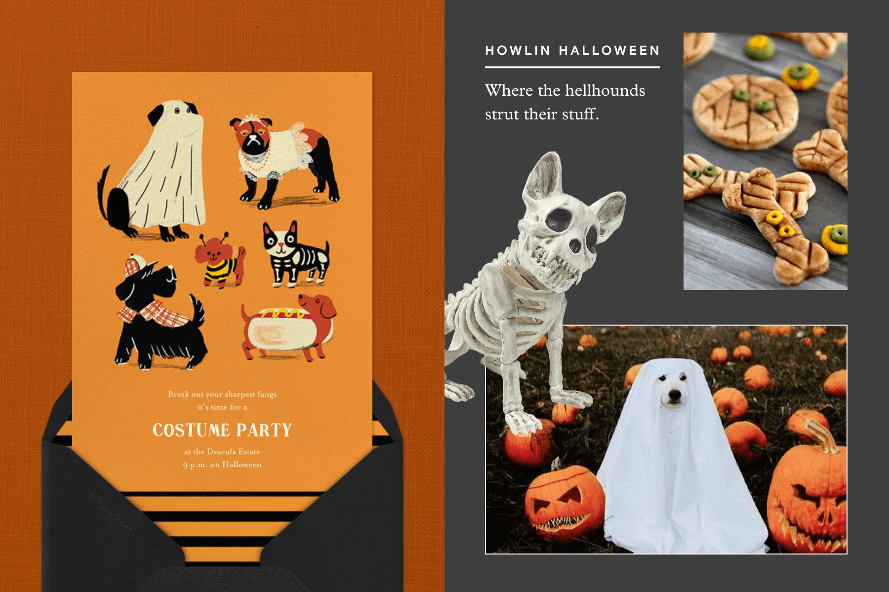 From left: A Halloween invitation with illustrations of dogs in costumes, a skeleton dog decoration, dog treets shaped like bones, a dog covered in a sheet surrounded by jack o’ lanterns.