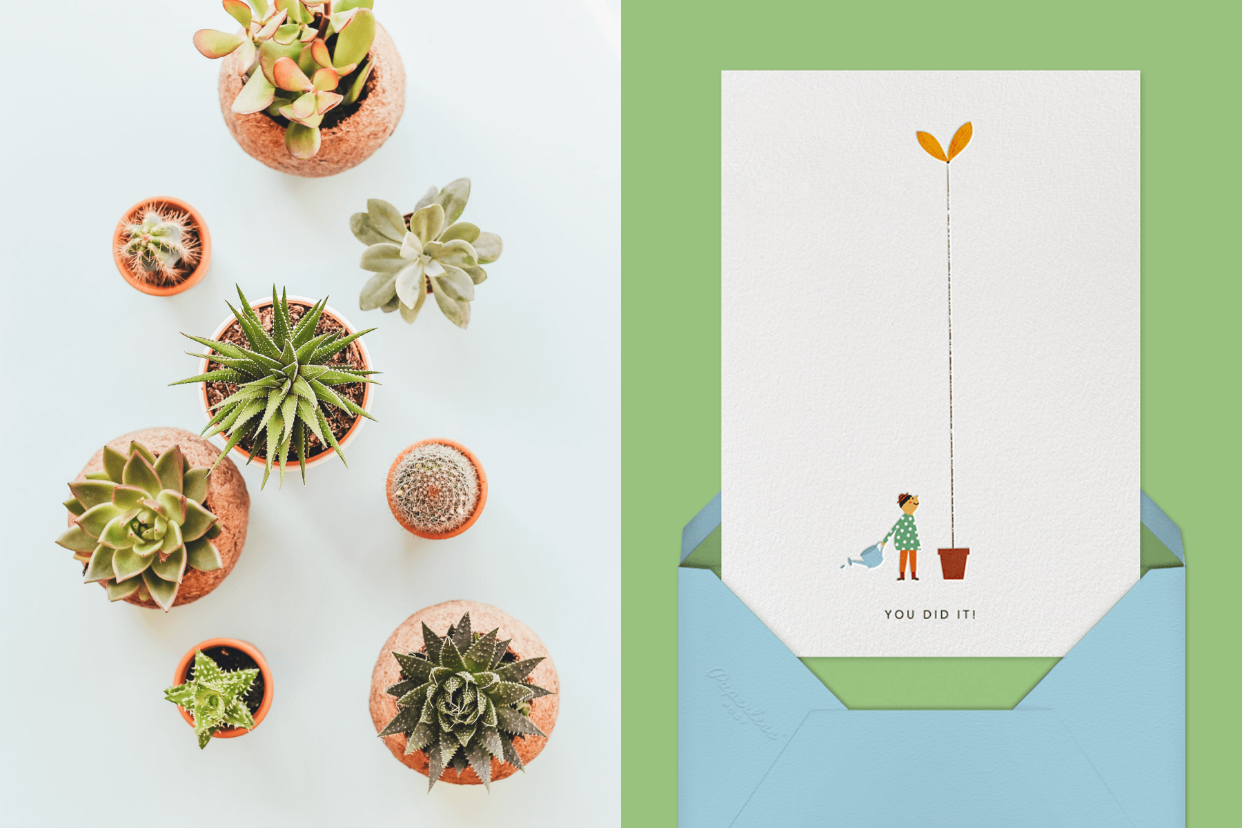 Left: Mini planters with succulents. Right: Growing (Blanca Gómez) by Red Cap Cards for Paperless Post