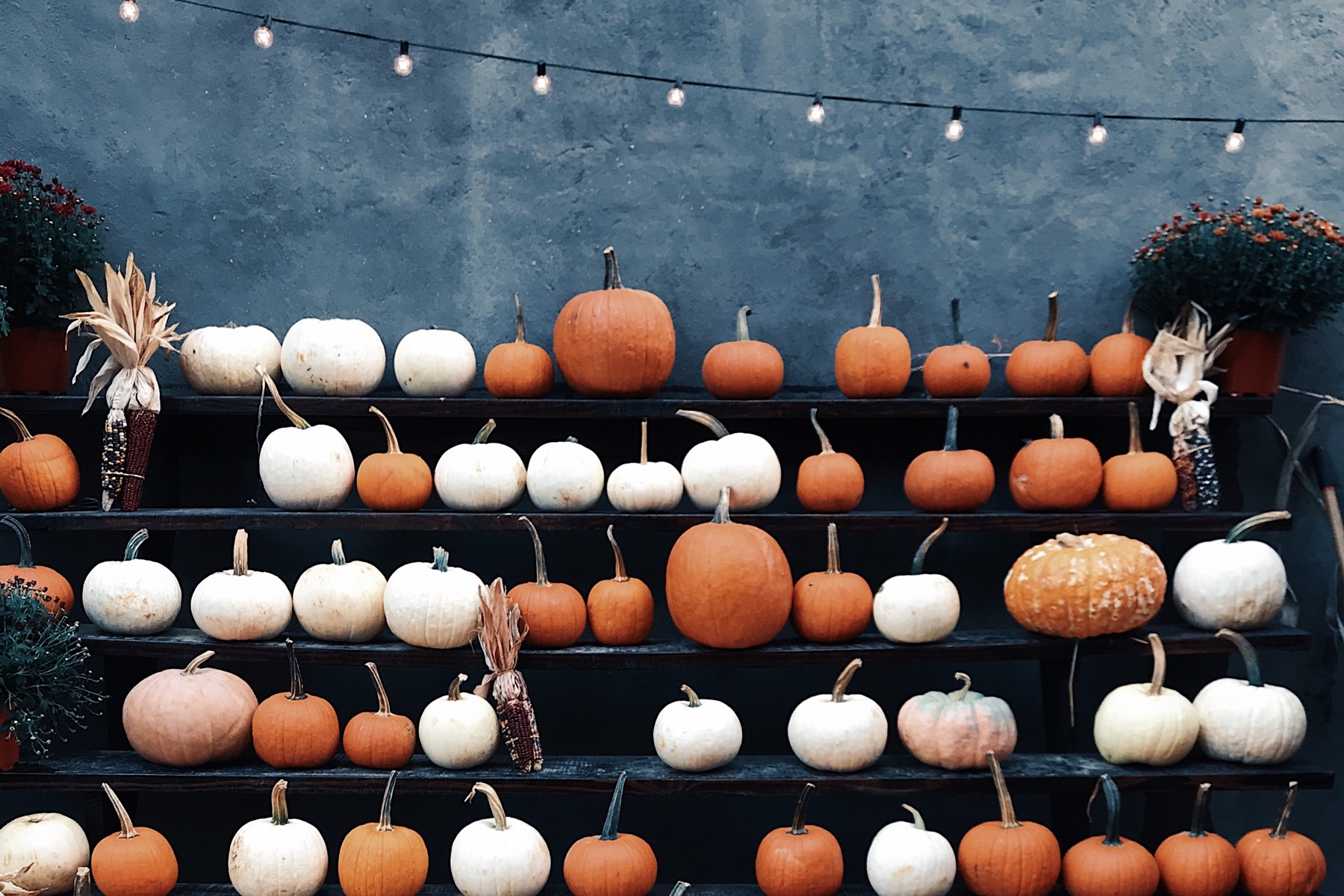 Tiered display of white and orange pumpkins.