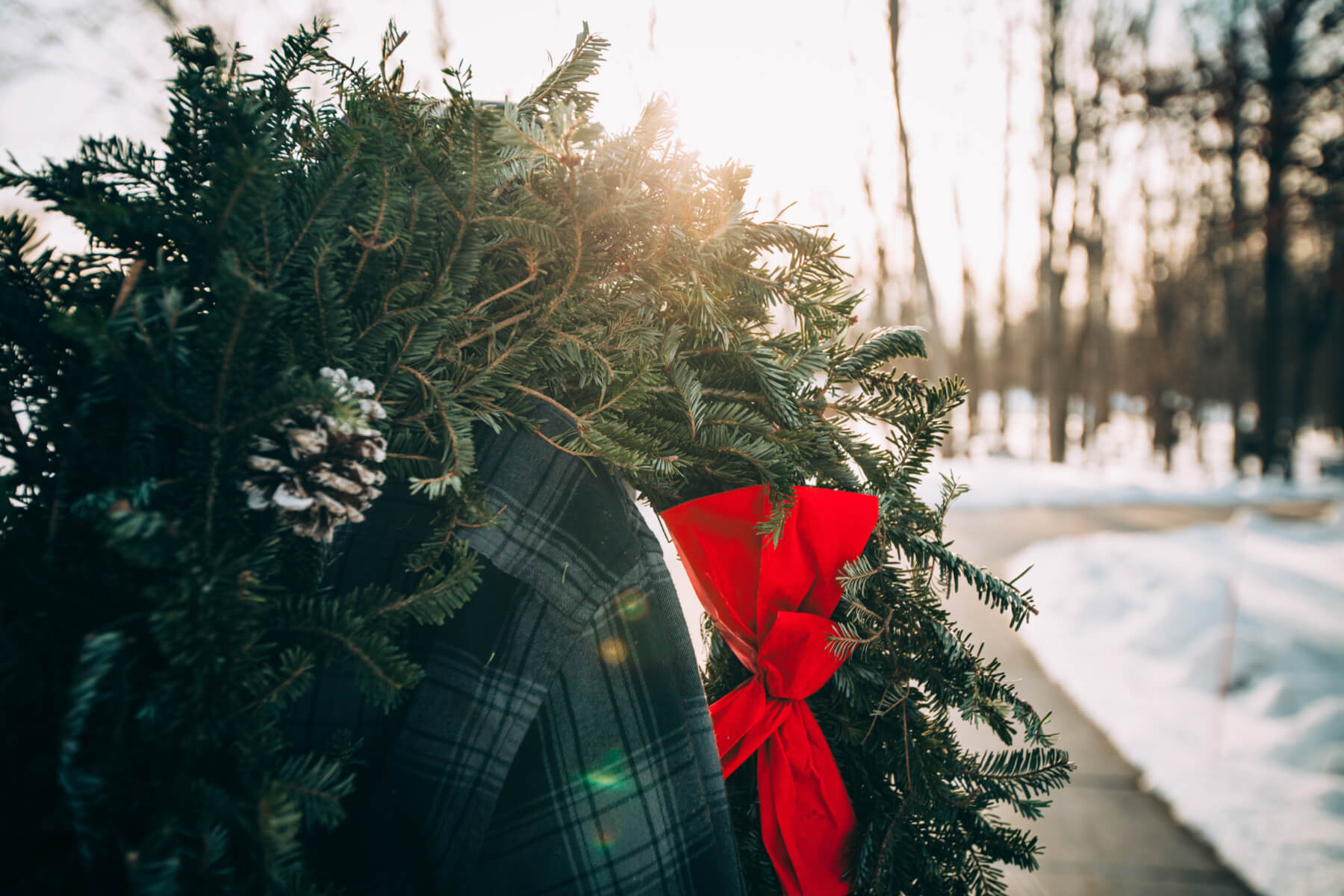 How to plan a holiday party with Paperless Post