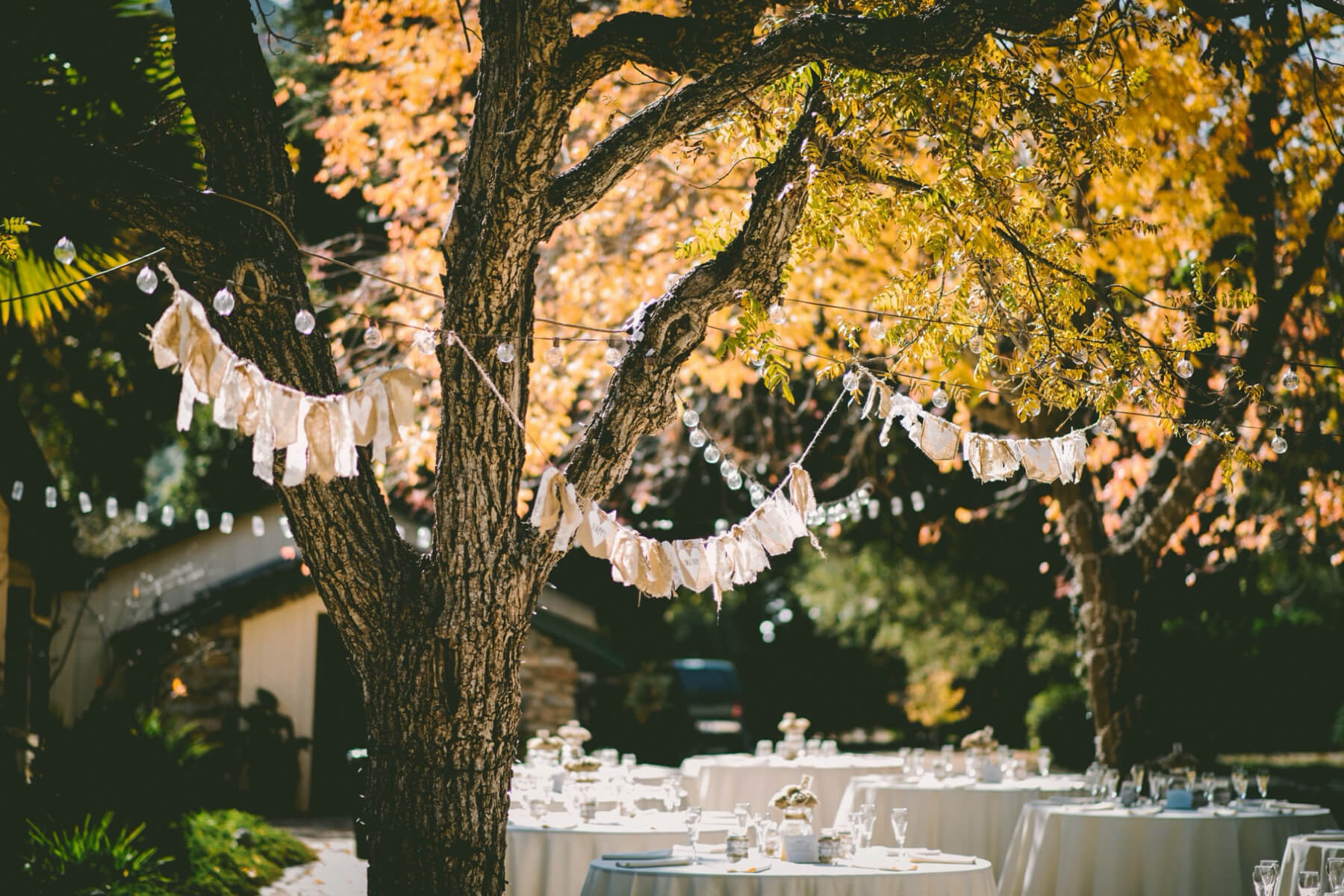 13 Outdoor Graduation Party Ideas Paperless Post 13 Outdoor Graduation Party Ideas Paperless Post