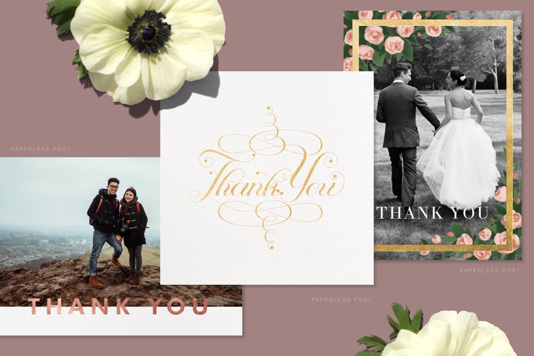 Collage of three Paperless Post thank you card designs along with two flowers on a rose background.
