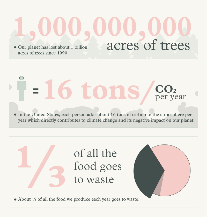 An infographic explaining the impact of humans on the environment.